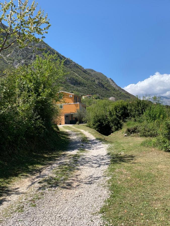 Apartman Barbara Kotor Exterior foto