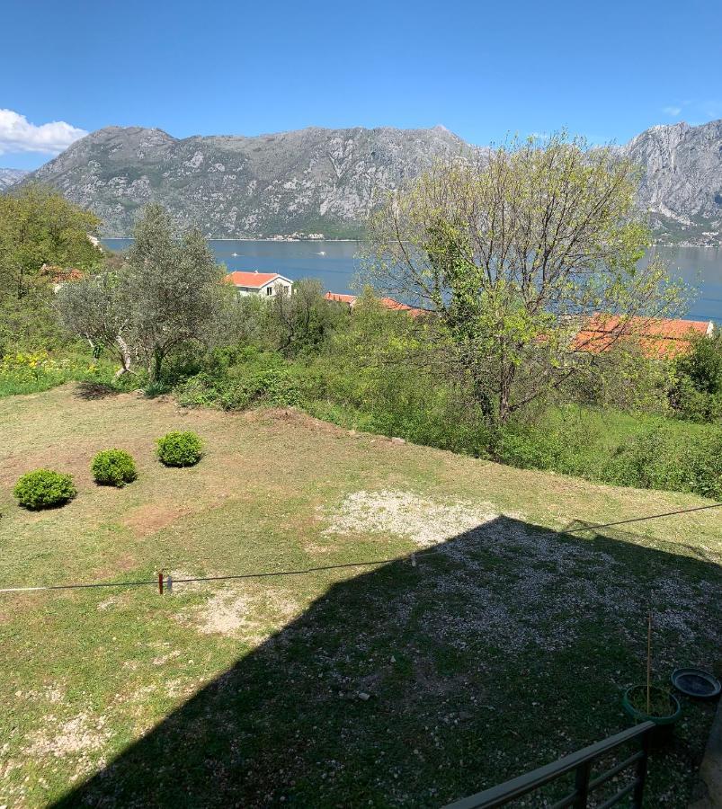 Apartman Barbara Kotor Exterior foto